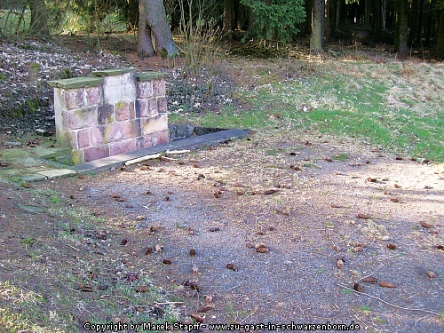 Gefasste Efzequelle am Wilsberg