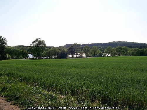 Knüllteich
